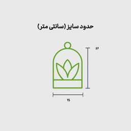 تراریوم آمازون سوپر سایز