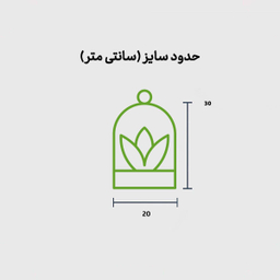تراریوم پوپک ایر