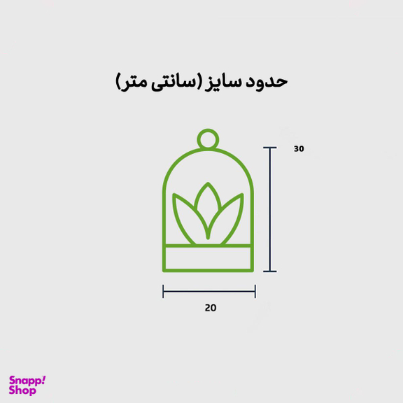 تراریوم پوپک ایر
