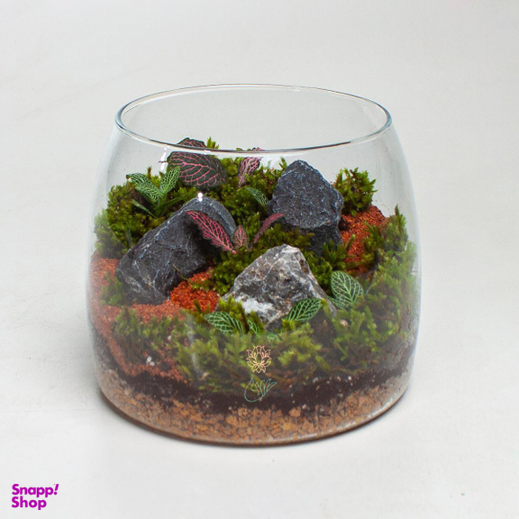 تراریوم شاتل