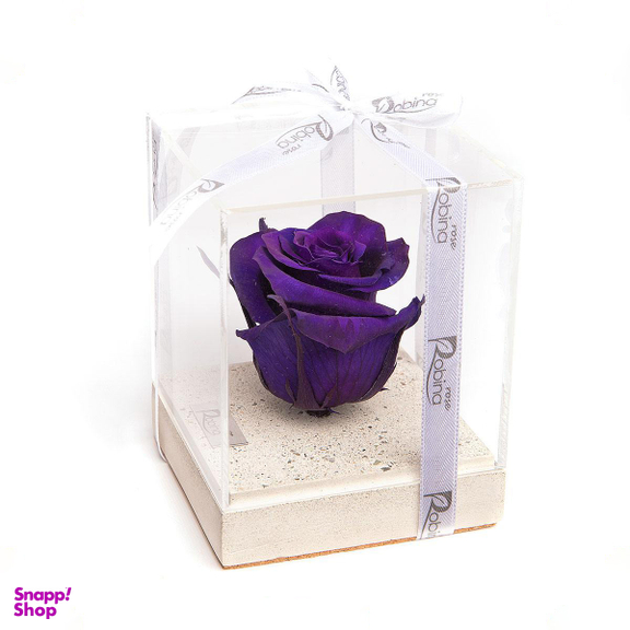 رز جاودان پایه سنگی سفید