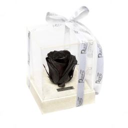 رز جاودان پایه سنگی سفید