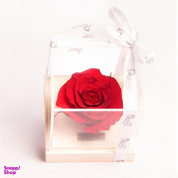 رز جاودان پایه سنگی سفید