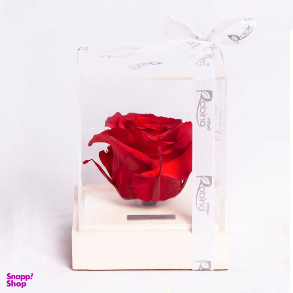 رز جاودان پایه سنگی سفید