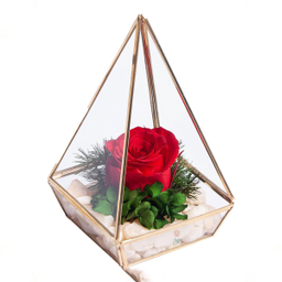 آبگینه هرم تک گل رز جاودان