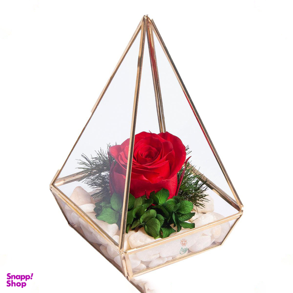 آبگینه هرم تک گل رز جاودان