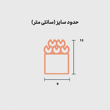 رز جاودان گیفت باکس