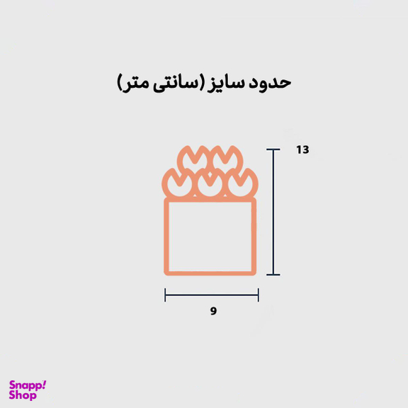 رز جاودان گیفت باکس