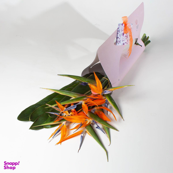 دسته گل استرلیتزیا ( پرنده بهشتی )