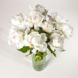 دسته گل پیونی (صد تومانی)