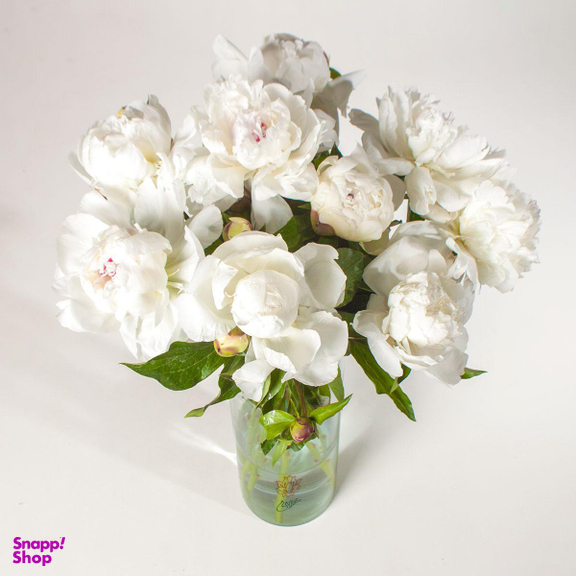 دسته گل پیونی (صد تومانی)