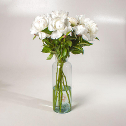 دسته گل پیونی (صد تومانی)