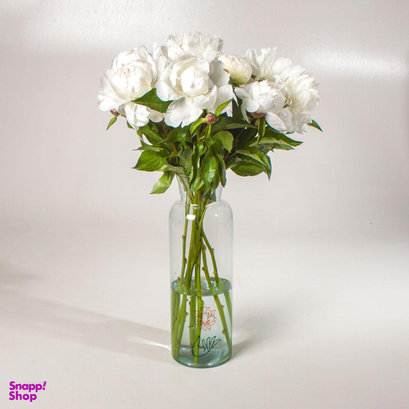 دسته گل پیونی (صد تومانی)