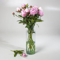 دسته گل پیونی (صد تومانی)