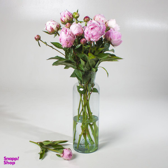 دسته گل پیونی (صد تومانی)