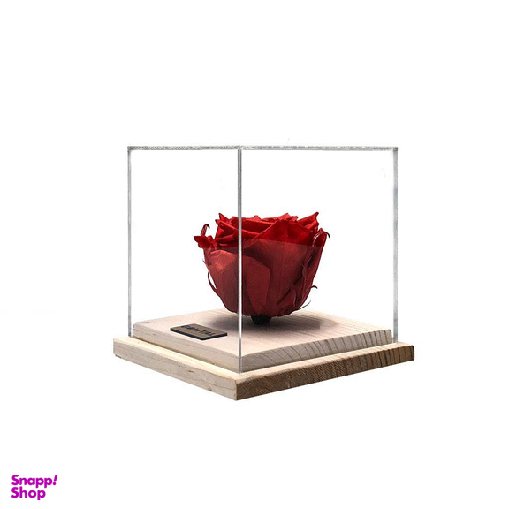 گل رز جاودان مدل پایه چوبی