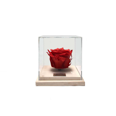 گل رز جاودان مدل پایه چوبی
