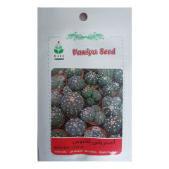 بذر کاکتوس آستریاس آذر سبزینه مدل A180