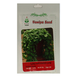 بذر چمن دایکوندرا آذر سبزینه مدل A9