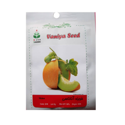 بذر خربزه آناناسی آذر سبزینه مدل Q18