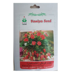 بذر توت فرنگی الکساندرا آذر سبزینه مدل A226