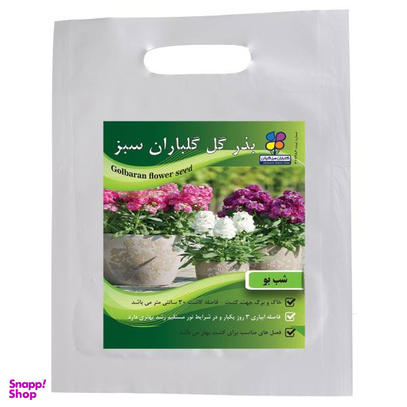 بذر گل شب بو شرکت گلباران سبز گیلان
