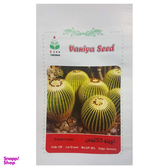 بذر کاکتوس اچینو آذر سبزینه مدل K6