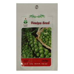 بذر کلم بروکسل آذر سبزینه مدل A101