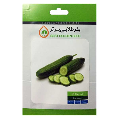 بذر خیار بوته ای بذر طلایی برتر (Bartar) کد Bzt-53