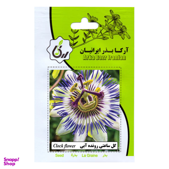 بذر گل ساعتی رونده آبی آرکا بذر ایرانیان کد 79-ARK