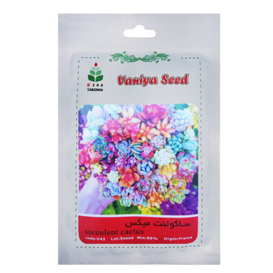 بذر ساکولنت میکس آذر سبزینه (Azar Sabzineh) مدل V42