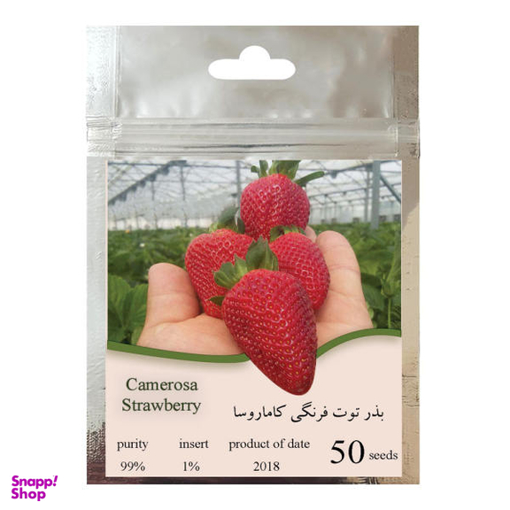 بذر توت فرنگی کاماروسا مدل 001