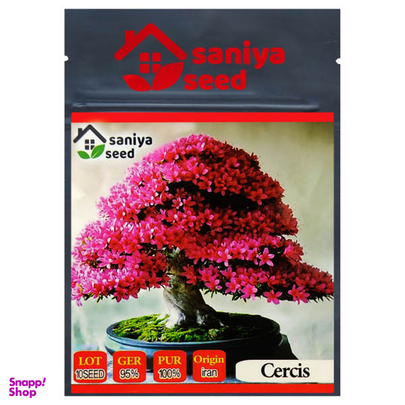 بذر بنسای ارغوان سانیا سید مدل S6