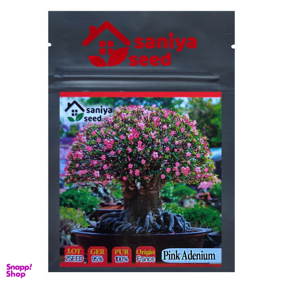 بذر بنسای آدنیوم صورتی سانیا سید مدل A03