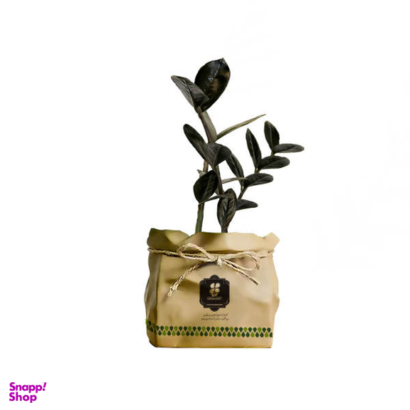 گیاه طبیعی زاموفیلیا سبز شرکت گلباران سبز گیلان مدل GN13-18K