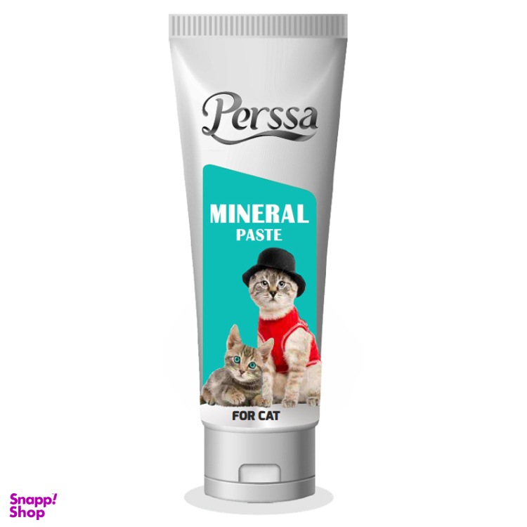 خمیر مینرال گربه پرسا کد 002 وزن 100 گرم