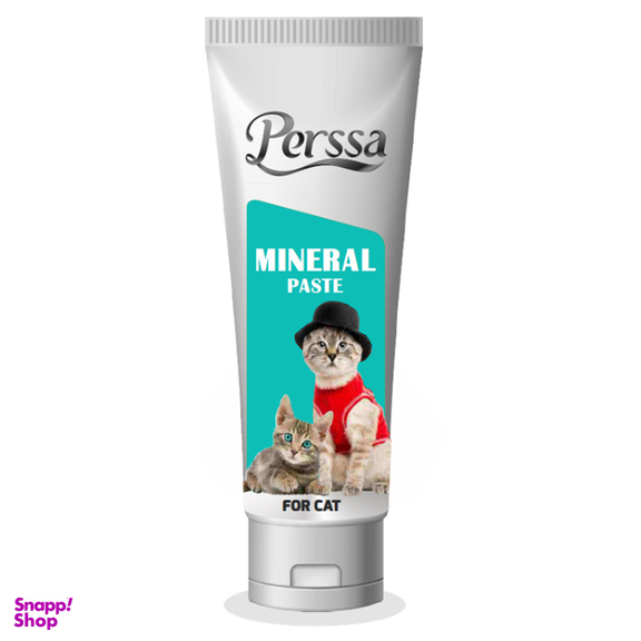 خمیر مینرال گربه پرسا کد 002 وزن 100 گرم