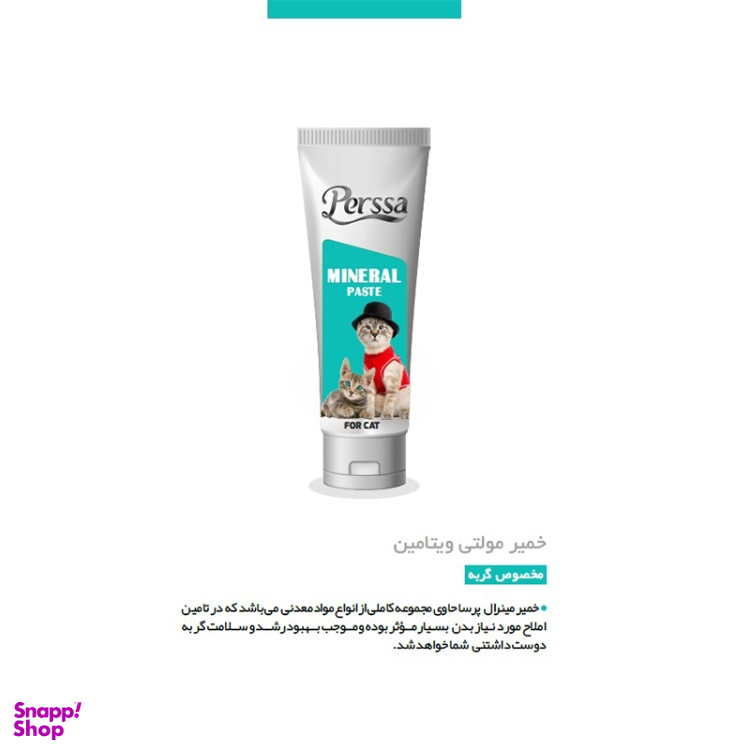 خمیر مینرال گربه پرسا کد 002 وزن 100 گرم