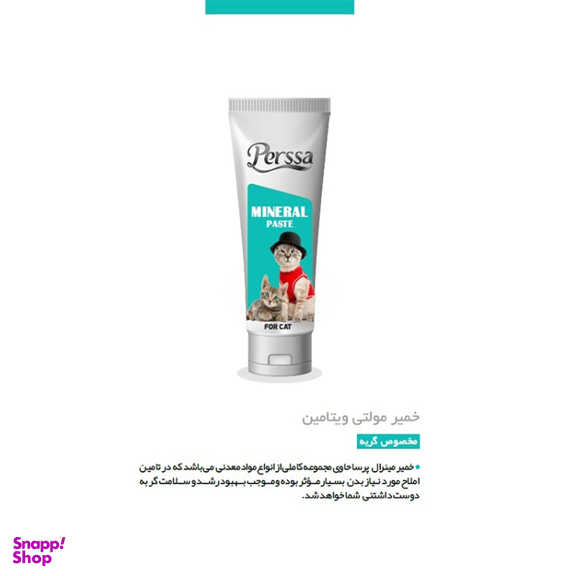 خمیر مینرال گربه پرسا کد 002 وزن 100 گرم