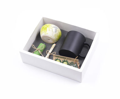 پکیج کادو بذر بمب و گلدان مدل شعله سبز