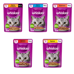 پوچ گربه ویسکاس مدل Pouch Pack بسته 5 عددی