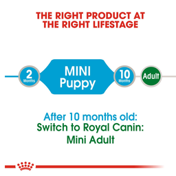 پوچ سگ رویال کنین مدل Mini Puppy وزن 85 گرم