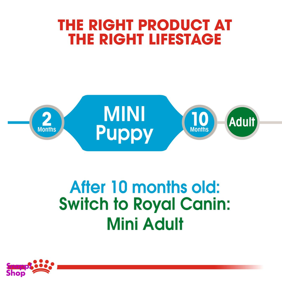 پوچ سگ رویال کنین مدل Mini Puppy وزن 85 گرم