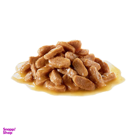 پوچ سگ رویال کنین مدل Mini Puppy وزن 85 گرم