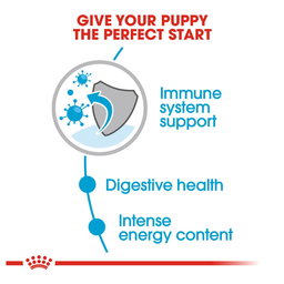 پوچ سگ رویال کنین مدل Mini Puppy وزن 85 گرم