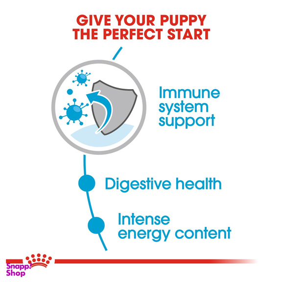 پوچ سگ رویال کنین مدل Mini Puppy وزن 85 گرم