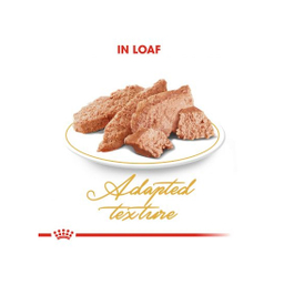 پوچ گربه رویال کنین مدل Persian Adult وزن 85 گرم