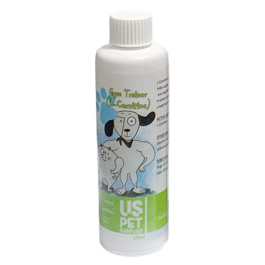 شربت چربی سوز یو اس پت (US Pet) مدل L-Carnitine حجم 120 میلی لیتر