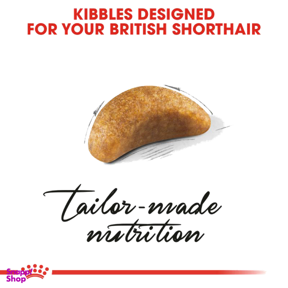 غذای خشک بچه گربه رویال کنین مدل بچه گربه بریتیش مو کوتاه وزن 2 کیلوگرم