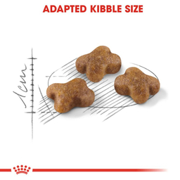 غذای خشک بچه گربه رویال کنین (Royal Canin) مدل Kitten وزن 2 کیلوگرم
